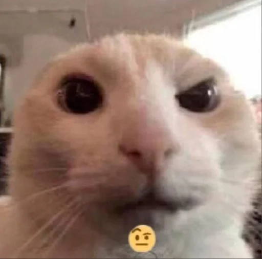 Sticker monikahuenika - 1