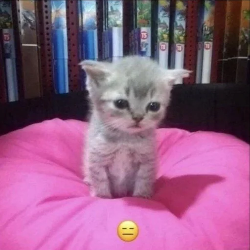 Sticker monikahuenika - 1