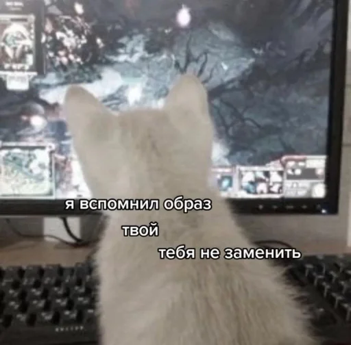 Sticker monikahuenika - 1