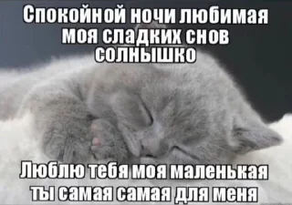 Sticker Моника хуеника - 3