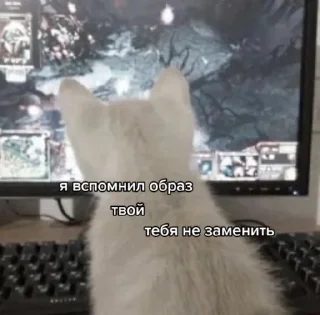 Sticker Моника хуеника - 0