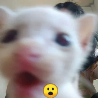 Sticker Моника хуеника - 10