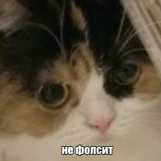 Sticker Monitoring - 11