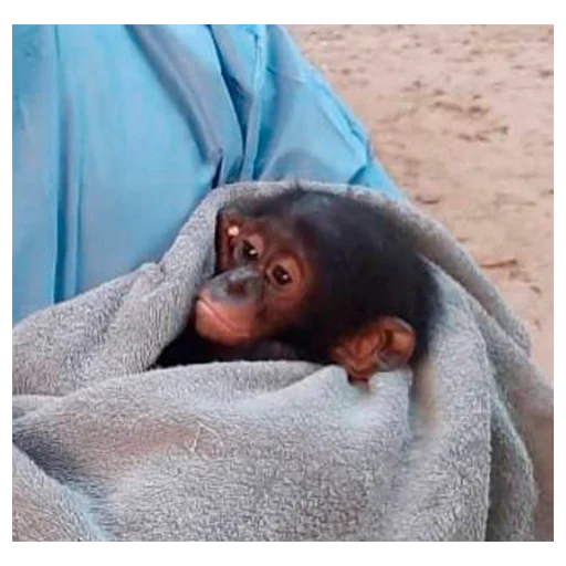 person ground blanket