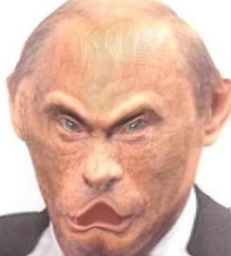 Стикер monkey putin - 11