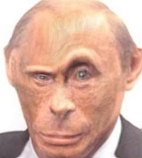 Стикер monkey putin - 9