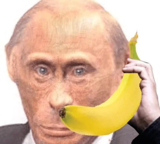 Стикер monkey putin - 5