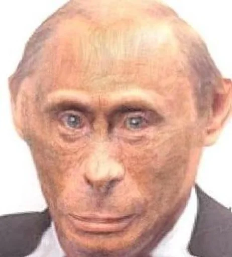 monkey putin - 