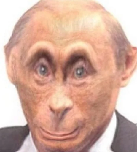 Стикер monkey putin - 4