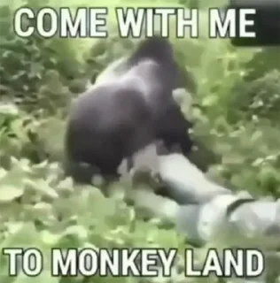 Стикер monke gang - 6