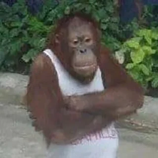 Стикер monke gang - 3