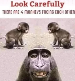 Стикер monke gang - 2