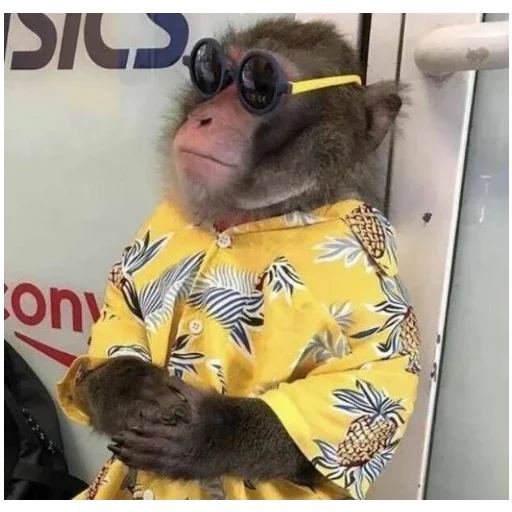 Стикер monke_gojda_pon - 1