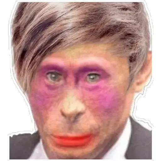 eyebrow forehead cheek