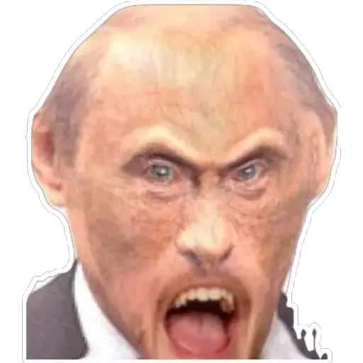 forehead human face jaw