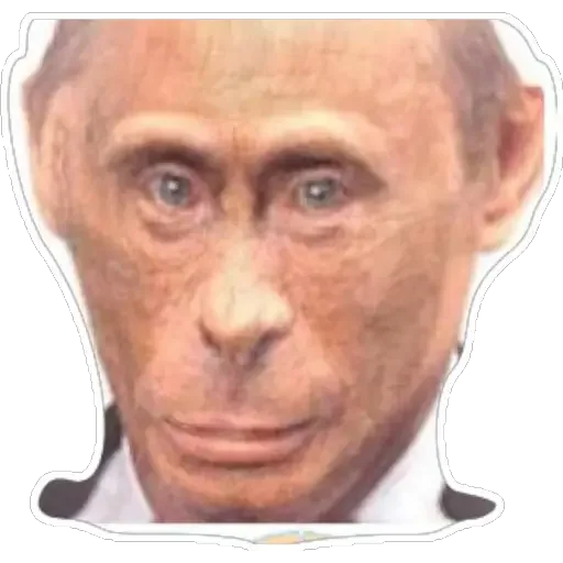 human face forehead sketch