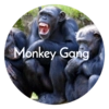 monkey gang - text
