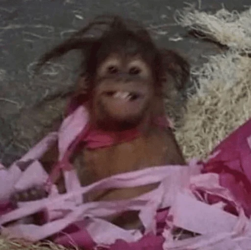 Стикер cutie monkey by irin＾∇＾ - 10