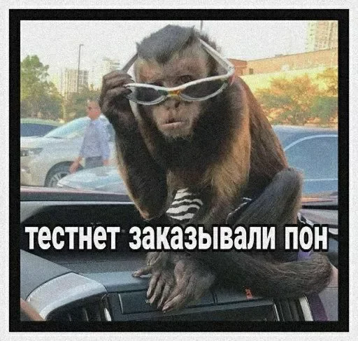 @papadontshorti | @papadontshorti - 