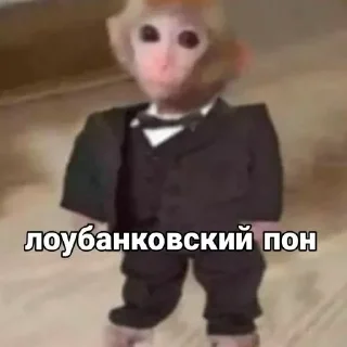 Стикер @papadontshorti | @papadontshorti - 0