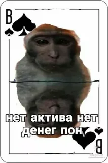 Стикер @papadontshorti | @papadontshorti - 11