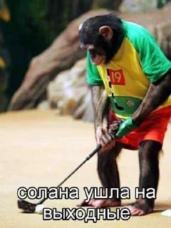 Стикер @papadontshorti | @papadontshorti - 8