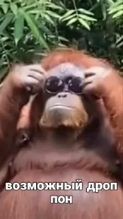 Стикер @papadontshorti | @papadontshorti - 1