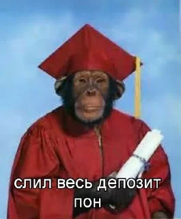 Стикер @papadontshorti | @papadontshorti - 9