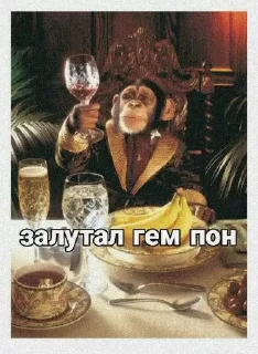 Стикер @papadontshorti | @papadontshorti - 5