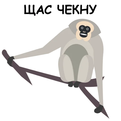 Sticker Обезьяна Сильвупле @stickerus - 11