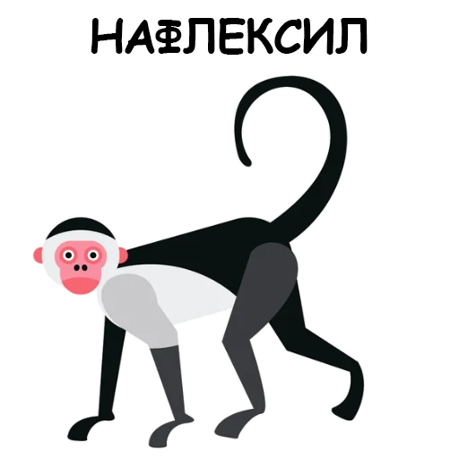 Sticker Обезьяна Сильвупле @stickerus - 7