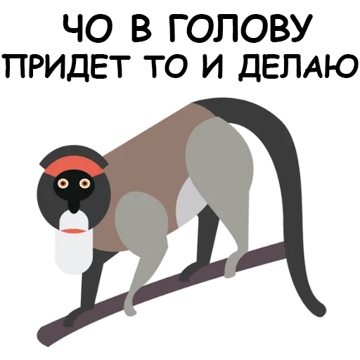 Sticker Обезьяна Сильвупле @stickerus - 1