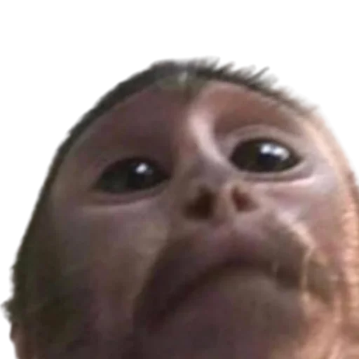 лоб щека челюсть