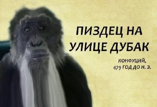 Стикер monki - 7