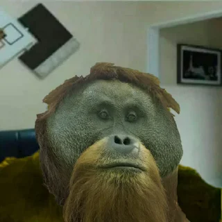 Стикер monki - 11