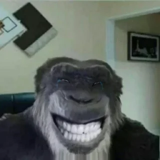 Стикер monki - 4