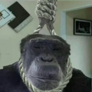 Стикер monki - 3