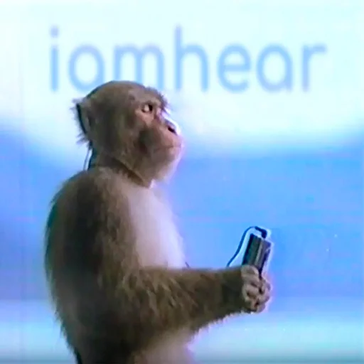 monkey text animal