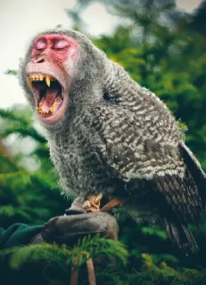 Sticker monos fusionados con otros animales - 3