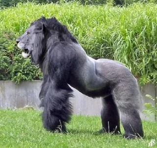 Sticker monos fusionados con otros animales - 7