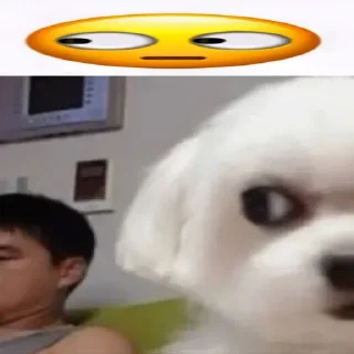 Стикер dogs @monst14 - 11