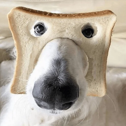 Sticker monyapizdecc - 1