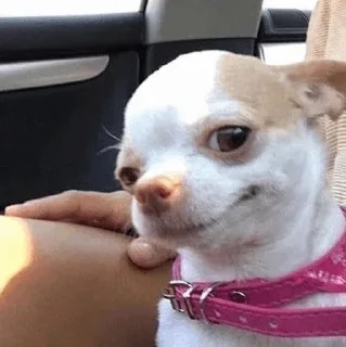 Стикер 𖬫𝗈𝗈𝖽 :| - 10