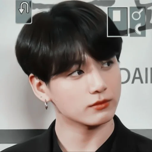 person hairpiece human face