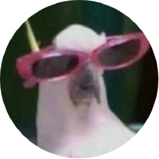 glasses sunglasses accessory