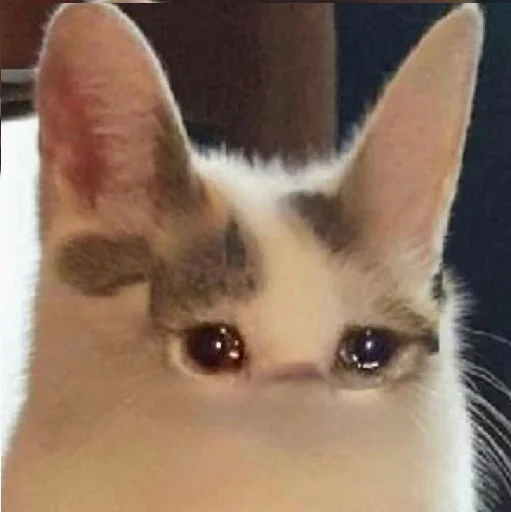 Sticker муд : - 6