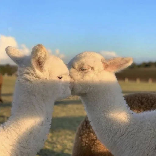 Sticker муд : - 4