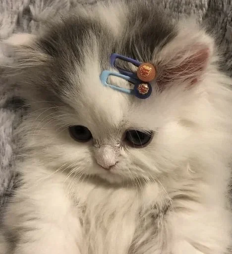 Sticker муд : - 1