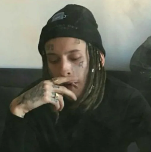 Человек человеческое лицо комнатный