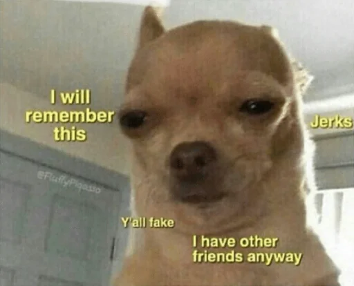 млекопитающее животное собака